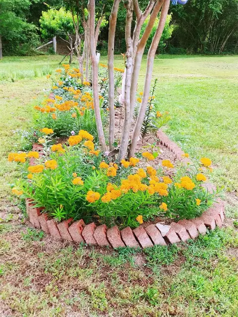 Exterior - 5000 Tite Rd, Stanfield, NC 28163 photo 17 of 19