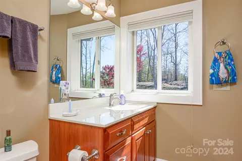 Bath - 2123 Parkway North Rd, Mill Spring, NC 28756 photo 3 of 5