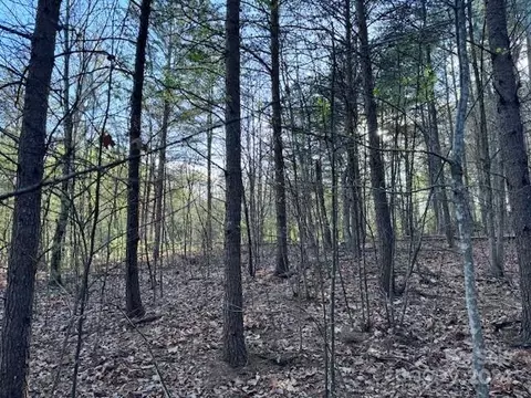 21 High Trail Drive #21B, Nebo, NC 28761