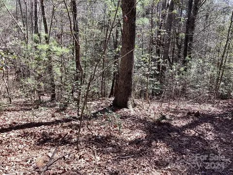 3991 Rose Creek Rd, Morganton, NC 28655 photo 31