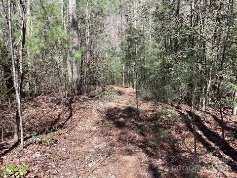 3991 Rose Creek Rd, Morganton, NC 28655 photo 33