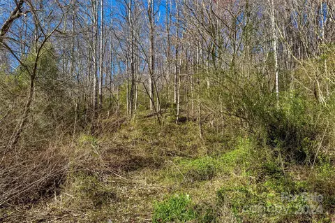 159 Shanty Town Rd, Old Fort, NC 28762