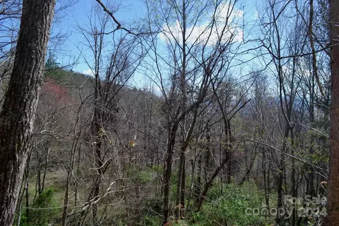 Town Mountain Road, Asheville, NC 28804