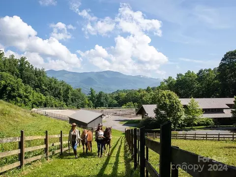 View/Area - 43 Switchgrass 403 Way #403, Sylva, NC 28779 photo 3 of 3