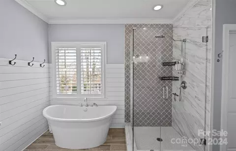 Bath - 17022 Winged Thistle Ct, Davidson, NC 28036 photo 4 of 5
