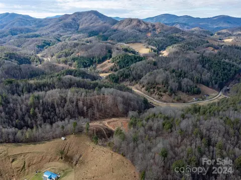 000 Barnyard Ln, Green Mountain, NC 28740