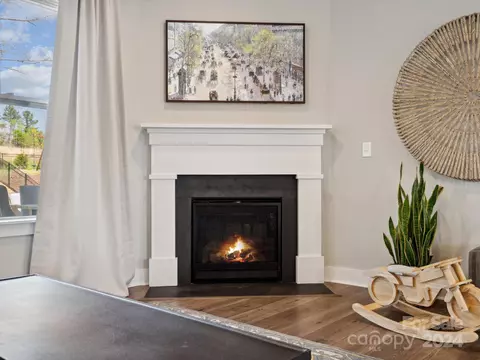 Living - 1184 Weir Ct, Fort Mill, SC 29708 photo 3 of 7