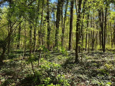 Archie Lane, Monroe, NC 28112 photo 3