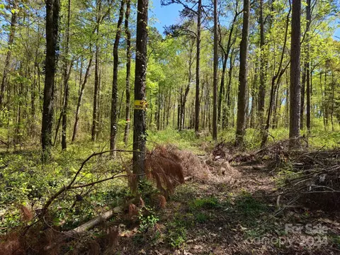 Archie Lane, Monroe, NC 28112 photo 3