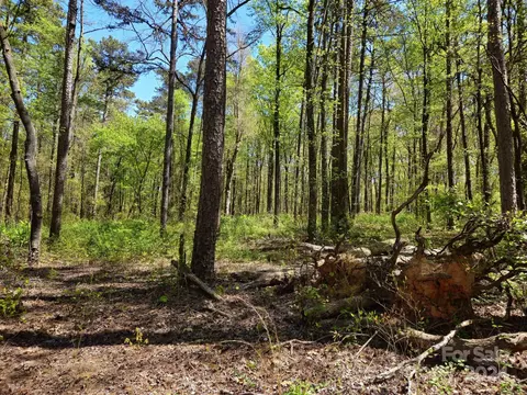 Archie Lane, Monroe, NC 28112 photo 4