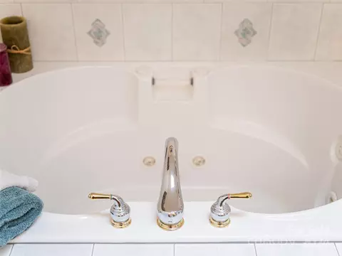 Bath - 4 Mount Emerald Dr, Fairview, NC 28730 photo 3 of 4
