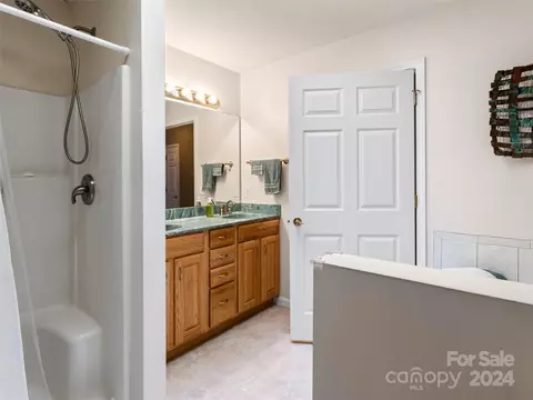 Bath - 4 Mount Emerald Dr, Fairview, NC 28730 photo 1 of 4