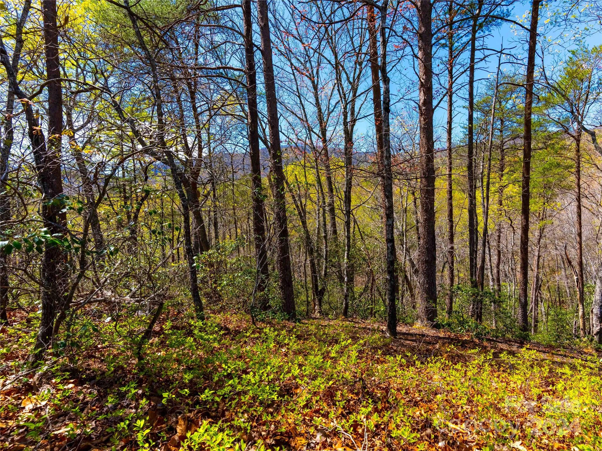 107 Deep Gap Farm E Rd E  