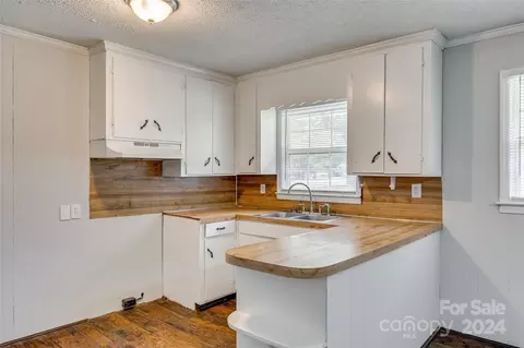 237 Essie Cir, Fort Mill, SC 29708 photo 6