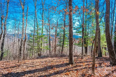 99999 Mount Olivet Rd, Zirconia, NC 28790