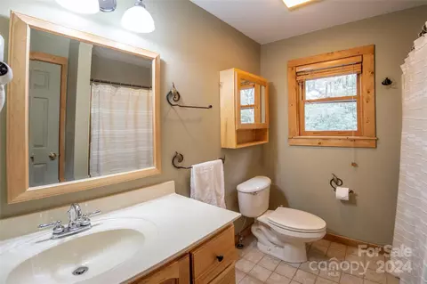 Bath - 290 Hawks Lake Dr, Seven Devils, NC 28604 photo 2 of 3