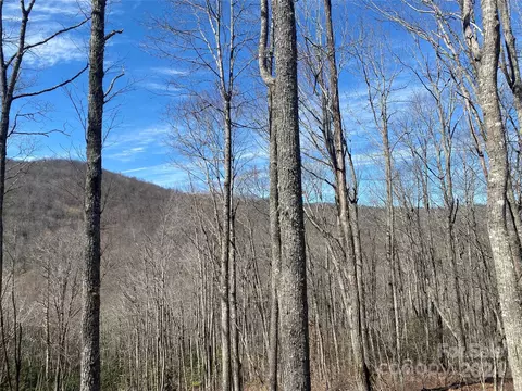Roaming Road, Glenville, NC 28736