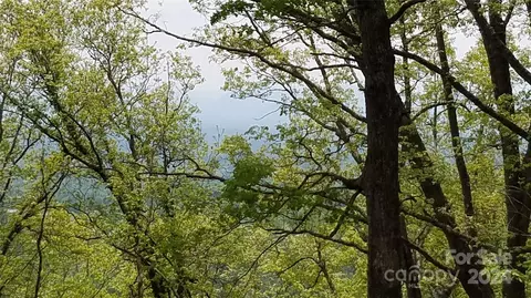 3637 S Valley View Dr, Mars Hill, NC 28754