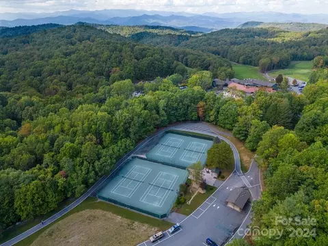 View/Area - 72 Uloque Ct, Brevard, NC 28712 photo 9 of 9