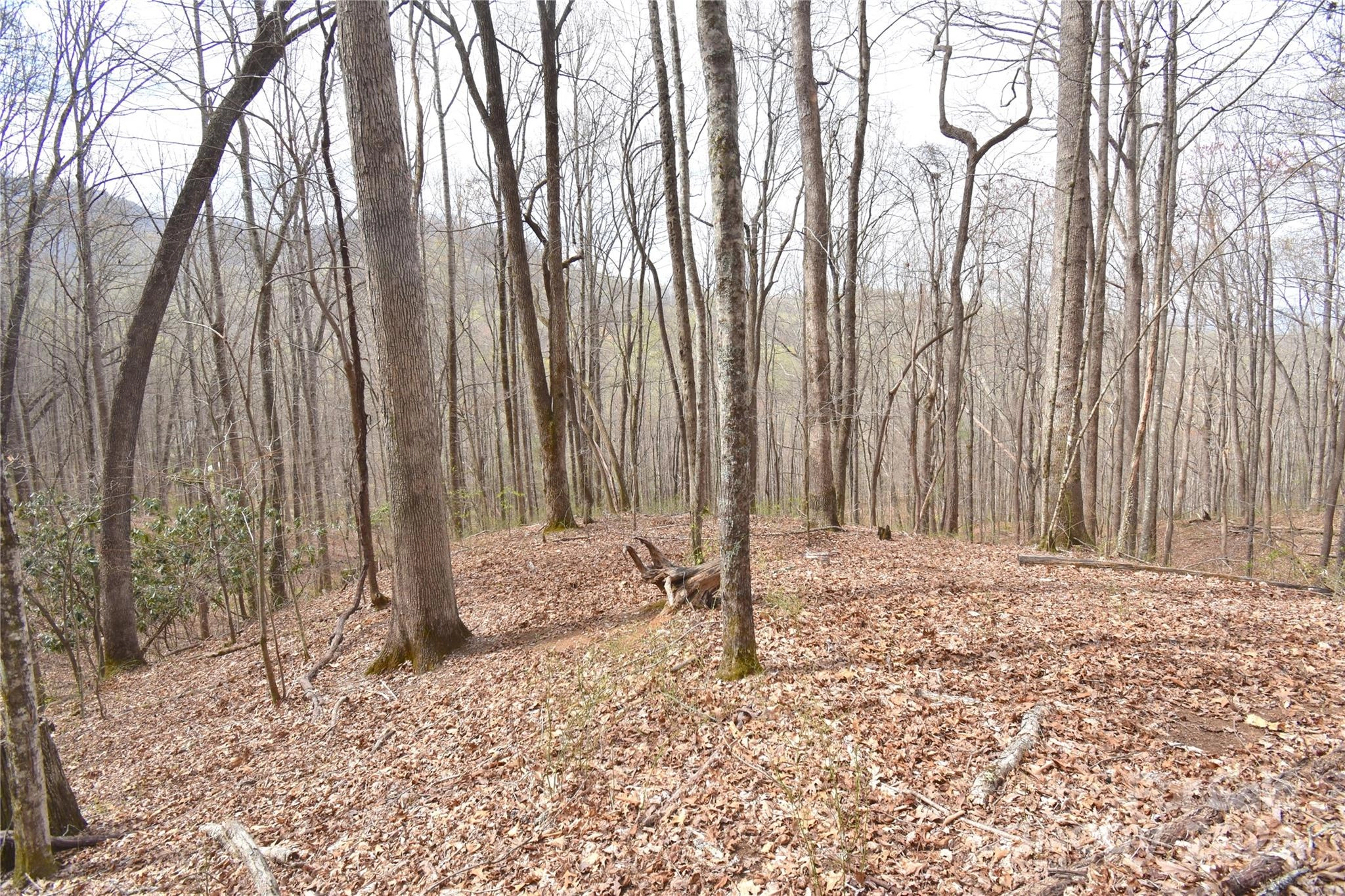 0 Top Drop 21 Ln Unit 21  