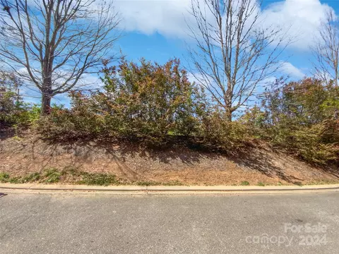 Other - 223 Harbour Place Dr, Davidson, NC 28036 photo 2 of 6