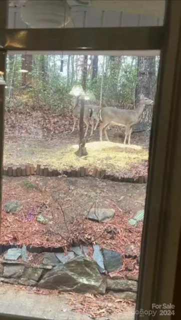 Other - 216 Flat Branch Trl, Mill Spring, NC 28756 photo 5 of 5