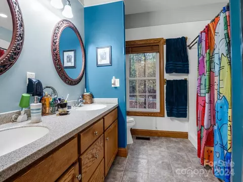 Bath - 216 Flat Branch Trl, Mill Spring, NC 28756 photo 1 of 3