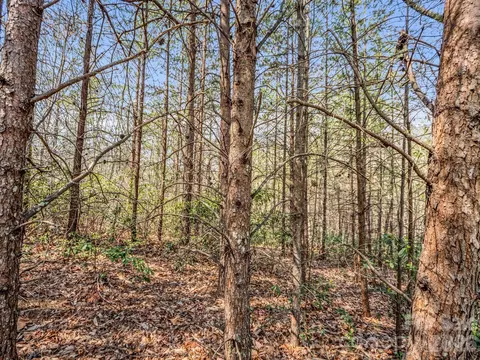 0 Chestertown Dr, Mill Spring, NC 28756 photo 9