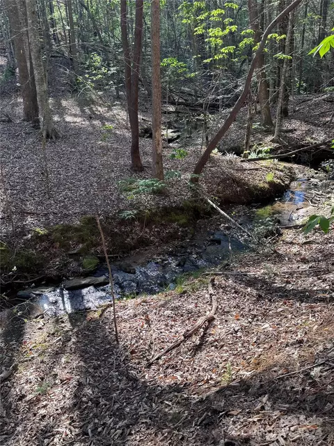 0 Clearwater 30 Pkwy #30, Rutherfordton, NC 28139