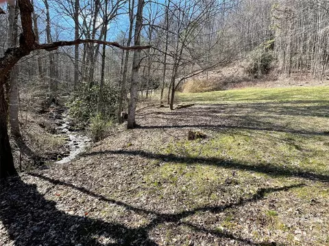 81 Peepeye Cove Rd, Leicester, NC 28748