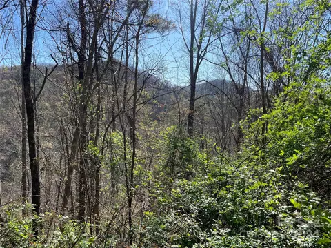 00 Lumberton Rdg, Waynesville, NC 28785