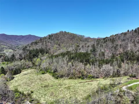 796 Upper Glady Fork Rd, Candler, NC 28715