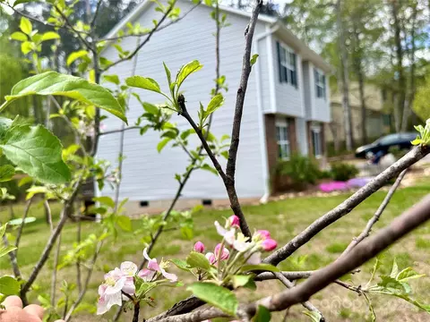 Other - 214 Baxter St, Morganton, NC 28655 photo 1 of 9