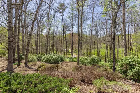 Exterior - 72 Devanna Dr, Alexander, NC 28701 photo 7 of 8