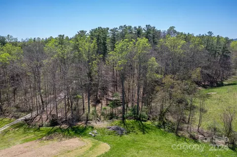 View/Area - 72 Devanna Dr, Alexander, NC 28701 photo 2 of 3
