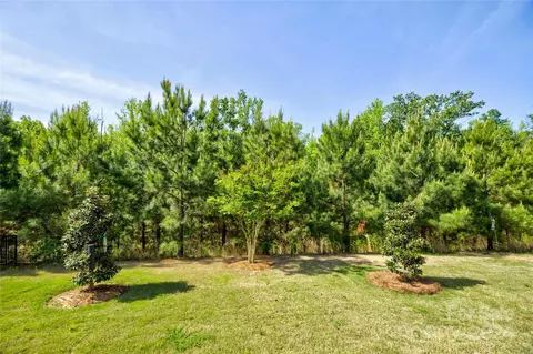 Exterior - 1701 Tranquility Blvd, Lancaster, SC 29720 photo 6 of 11