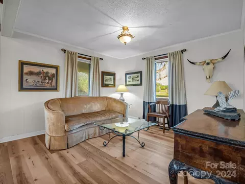 Living - 23 Over Hill Dr, Tryon, NC 28782 photo 2 of 3