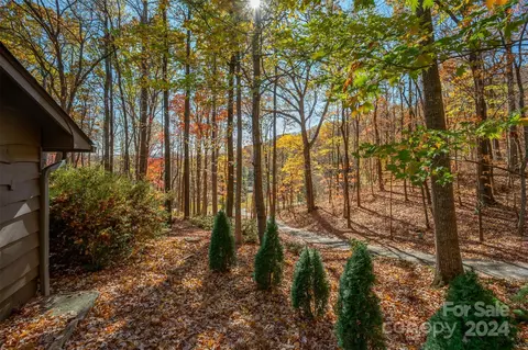 View/Area - 56 Wells Ln, Tryon, NC 28782 photo 1 of 9