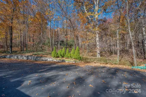 View/Area - 56 Wells Ln, Tryon, NC 28782 photo 2 of 9
