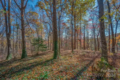 Other - 56 Wells Ln, Tryon, NC 28782 photo 14 of 14