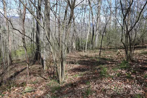 Butternut Trail, Waynesville, NC 28785