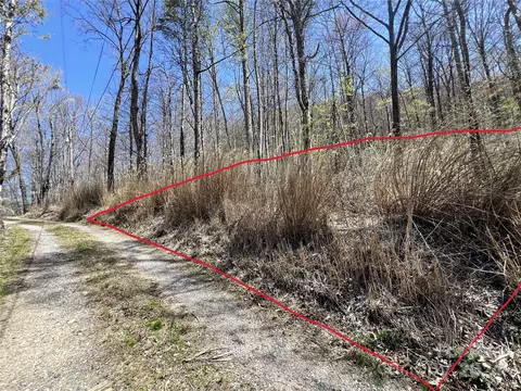 000 Fawn Trl, Canton, NC 28716