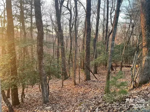Connestee Trail, Brevard, NC 28712 photo 3