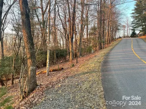 Connestee Trail, Brevard, NC 28712 photo 4