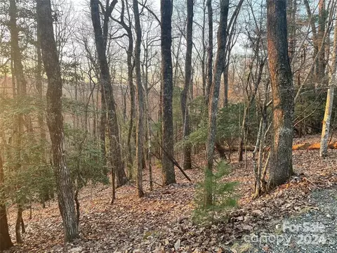 Connestee Trail, Brevard, NC 28712 photo 5
