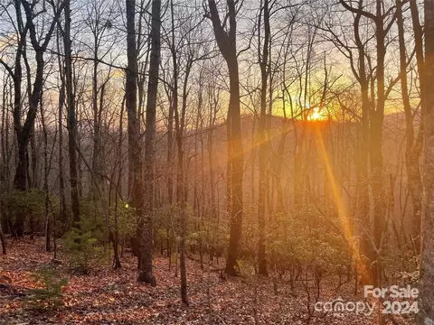 Connestee Trail, Brevard, NC 28712