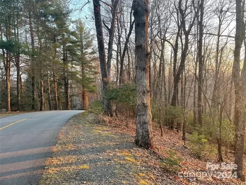 Connestee Trail, Brevard, NC 28712 photo 2