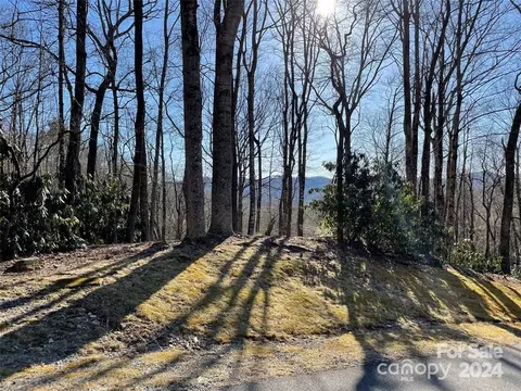 Tsuganawvi Court, Brevard, NC 28712