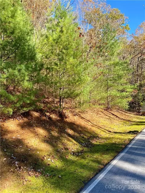 0000 Hawk Mountain 100 Rd #100, Lake Toxaway, NC 28747