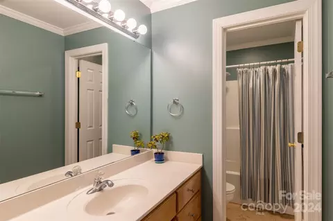 Bath - 4228 Flint Dr, Lancaster, SC 29720 photo 4 of 4